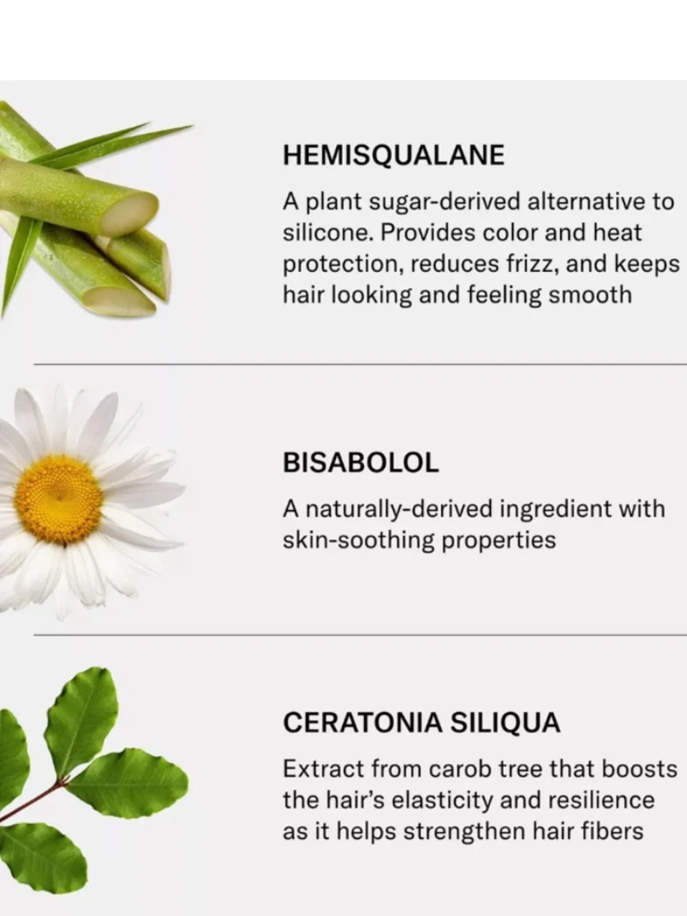 Seen Leave-in conditioner